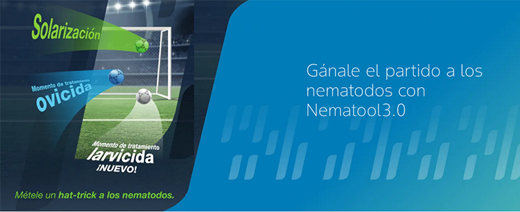 Nematool, la solución digital fácil de usar