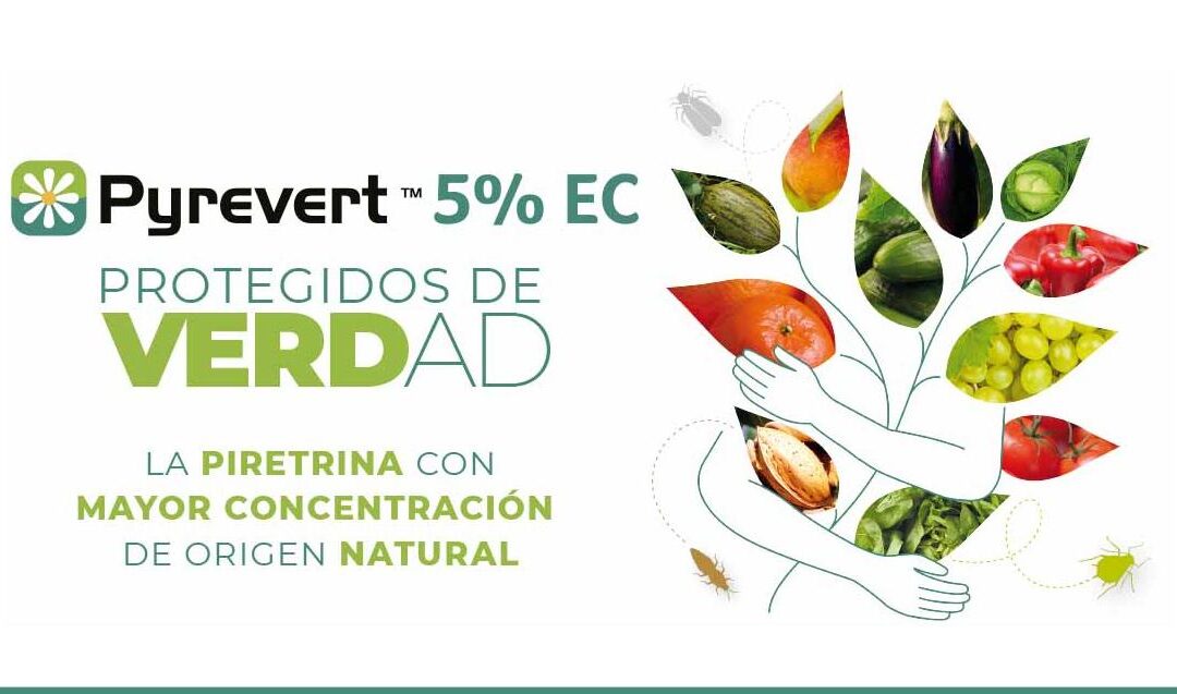 Pyrevert, protegidos de verdad